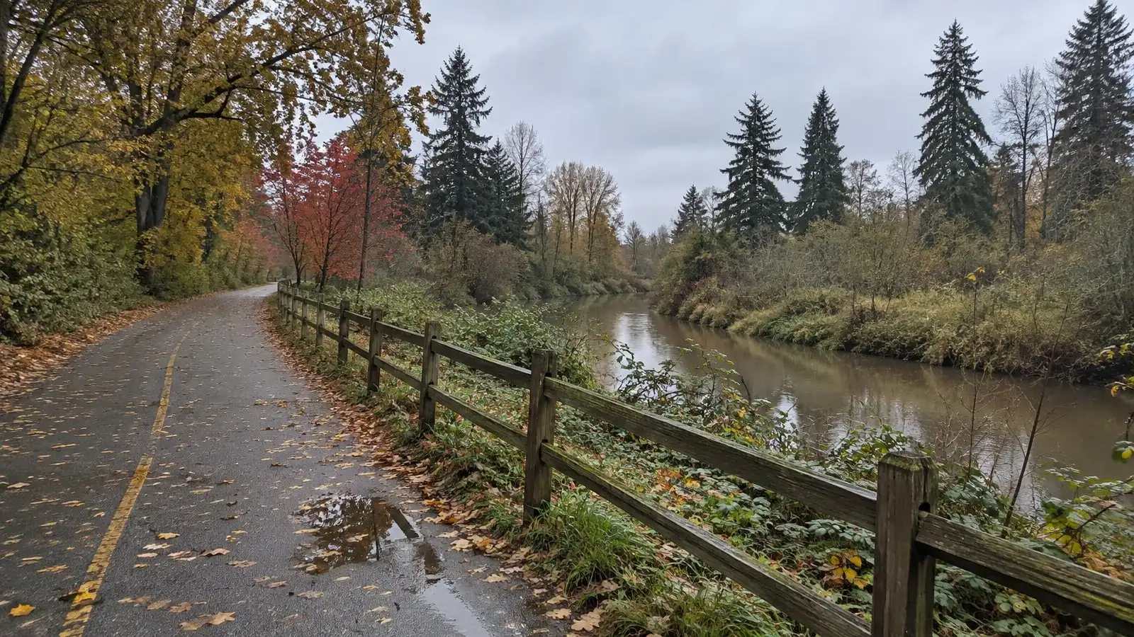 Fall in Bothell: Coming Home to the Season